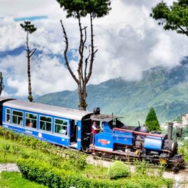 DH – 04 – DARJEELING HILLS