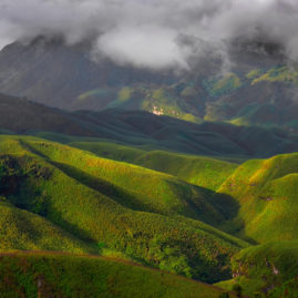 DZOUKU VALLEY – NAGALAND