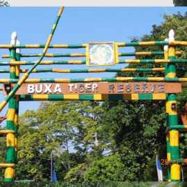 BUXA TIGER RESERVE