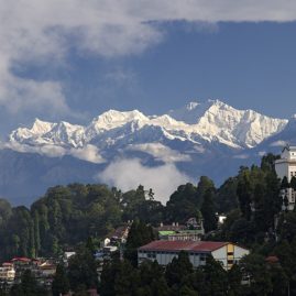 DARJEELING