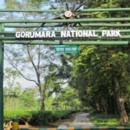 GORUMARA NATIONAL PARK