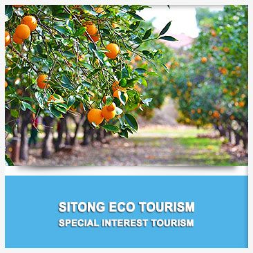 Sitong Eco Tourism